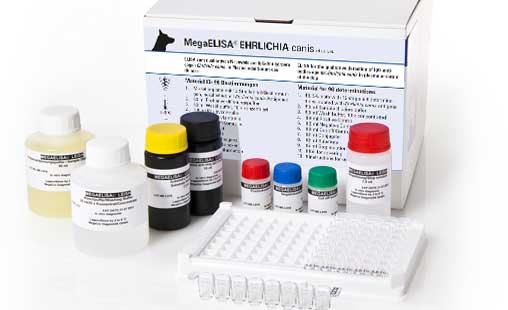 MegaELISA® EHRLICHIA canis MegaELISA® EHRLICHIA canis