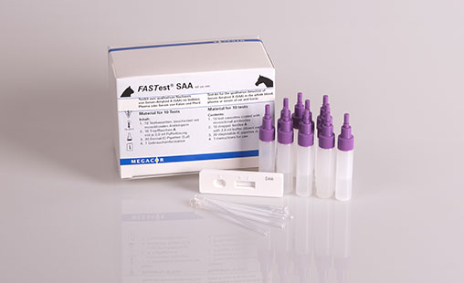 fastestsaa